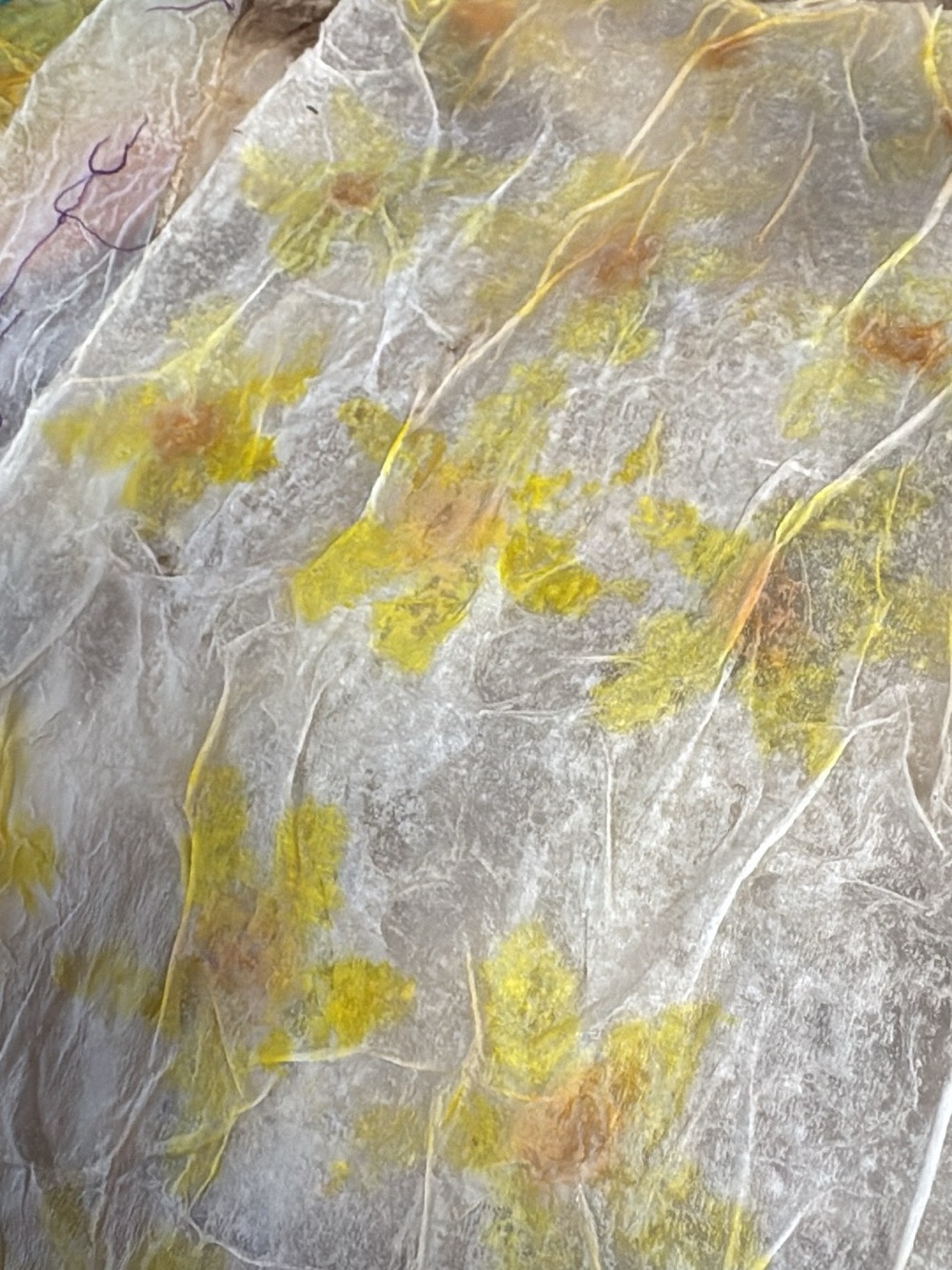 Homemade Rice Paper Sheets - Picture 4 of 11